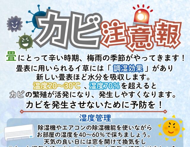 ☔梅雨時期のたたみのお手入れ
